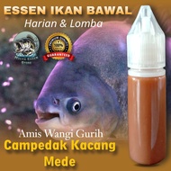 Essen Khusus Ikan Bawal Aroma Campedak Kacang Mede Kemasan 15ml Warna Coklat Yang Paling Bagus Untuk