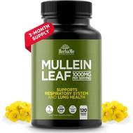 Daun Mullein 120 Kapsul 1000mg Suplemen Pembersih Paru-Paru untuk Perokok Sokongan Pernafasan QW6N