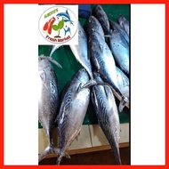 ▪ ♕ ☌ FRESH SEAFOODS FISH TULINGAN 1kg