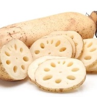 ☑ Akar Teratai (Lotus Root)