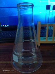Erlenmeyer - Conical Flask - Erlenmeyer - Pumpkin Erlenmeyer 250 ml