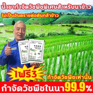 🌾กำจัดวัชพืชในนา 99.9% 🌾 ไม่ทำร้ายข้าว! ยาคุมหญ้าข้าว คุมฆ่าในนาข้าว 1ฟรี1 เข้มข้นสุดๆ 10g ประหยัดข้