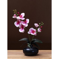 Pasu Seramik Set Orkid Phalaenopsis Tiruan Bunga Palsu Meja Makan Rumah Kabinet TV Meja Kopi Hiasan 