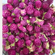 HR GRADE A PURPLE Globe Amaranth Flower Tea (Bunga Butang) 500g/1kg Wholesale
