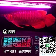 魚缸燈日本NEC潛水龍魚燈防水6700k30三基色魚缸燈管水族金龍魚增色專用水族燈