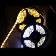 MATA Indoor ip33 5050 LED strip light big eye LED drop ceiling light LED strip ceiling 5050