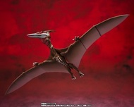 SHM S.H.MonsterArts 拉頓 Rodan 2021 The second form