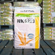 เมล็ดพันธุ์ข้าวโพดเลี้ยงสัตว์ NK 6253 3.5 หุน 10 kg. (ข้าวโพด เมล็ดพันธุ์ผัก เมล็ดพันธุ์พืช )