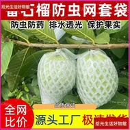⚡Taiwan Shipment⚡Guava Mesh Bag Fruit Insect-Proof Integrated Bag Guava Bag Foam Protection Bag Plas