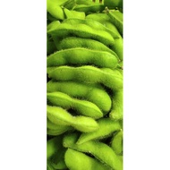 ( Organic) Fresh EDAMAME Bean 500g/PKT (无农药)新鲜日本毛豆 500克/一包