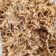 Water Moss Grass Dry Beetle Substrate Unicorn Stag Moisturizing Golden Gold Aquarium