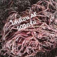 ไส้เดือน Af บรรจุ 500 กรัม