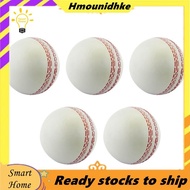 Sports Cricket, Training Cricket, Sports Wind Swing Rebound  Cricket, Elastic Decompression Ball