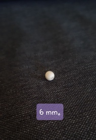 เม็ดงาช้างแท้ นำไปร้อยสร้อย//เม็ดงาช้าง ขนาด 6 mm. ราคาต่อเม็ด สำหรับนำไปร้อยสร้อย