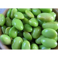 25 BENIH KEDELAI EDAMAME (KEDELAI JEPANG)