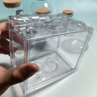 ⭐Breeding Bottle Seaweed Ball Dedicated MARIMO Ecological Bottle Hydroponic Cute Office Vase Transpa