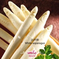 3 Pcs White asparagus 白芦笋种子 enih Ready Stock Sarawak