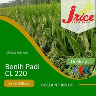 Benih Padi Cl220 5Kg Bibit Padi Unggul Cl 220 Murah