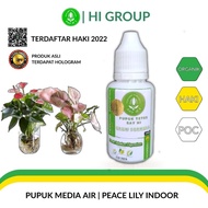 Water Planting Media Fertilizer | Peace Lily Indoor Plant