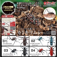 Gashapon Long-Horned Beetle Bandai Premium Ikimono Encyclopedia Animal Model