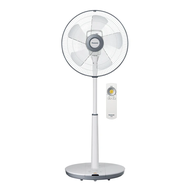 Panasonic 國際牌 DC直流馬達電風扇  F-S12DMD