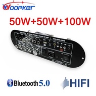 WOOCKER Amplifier Board Audio Bluetooth USB 2.1 Channel 12-19V - D800
