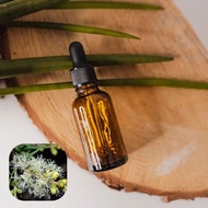 【香間小路】天然精油 尤加利精油 Eucalyptus ( 贈送甜橙精油 )