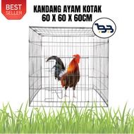 Minimalist Box Free Range Chicken Coop | 60 x 60 x 60cm