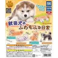 Gashapon Animal Dog Akita Inu's Fluffy Daily Life-Japanese Inu