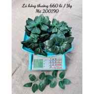Regular rose leaves, rose leaves (5 ounces)
