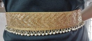 Hip Belt multipurpose