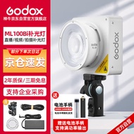 神牛（Godox）ML100Bi摄影灯双色温可调便携夜拍灯人像补光灯户外控制室电影视频摄像灯  ML100Bi【官方标配】