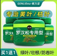 罗汉松造型树肥料泰山松雀舌四季大阪松白菌营养液松树盆景专用肥