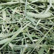 TIMOTHY HAY 1kg RM 7 Rabbit / Guinea pig Jerami Timothy