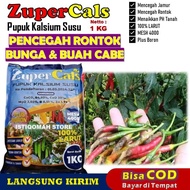 Pupuk Kalsium Susu ZUPERCALS 1 KG Obat Pencegah Rontok Bunga dan Buah Cabe Paling Ampuh Pupuk Anti R