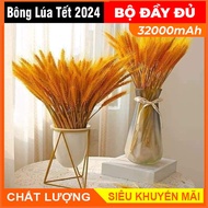 Bó 100 Bông lúa mạch vàng loại 1 chưng phòng khách - decor - trang trí nhà cửa