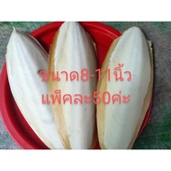 Squid Shell Cuttlefish Bone Bird Feed