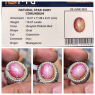 Natural 10.47ct Star Pinkish Red Ruby Hc Ring Perak