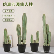 Desert Cactus Indoor Artificial Cactus Floor Small Ornament Succulent Fake Plant Mall Window Display