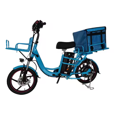 High Quality 350W 48V Cargo E Bike 20 Inch Steel Frame Electric Food Delivery Bike With Carrier