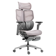 HINOMI X1 Ergonomic Office Chair Fully Customizable Mesh | Computer Chair | Gaming Chair | Lumbar Support Chair with Leg Rest | Mesh Chair With 3D Back Support For Home