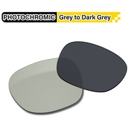 Auto Grey to Dark Grey Replacement Lenses for RW4012 RW4006 50mm/RW4002/RW4008 RW4012 53mm/RW4009 RW