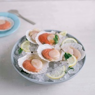 Fassler Gourmet Scallops Half Shell - Frozen