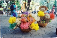 Phim chụp ảnh Kodak vision 3 500T (5219) - ISO 500-800 - 36 kiểu - chụp được máy cơ và máy PnS