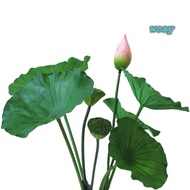 WOAY Artificial Flower, Artificial Flower Pole Landscape Artificial Lotus, Lotus Lotus Pod Lotus Lea