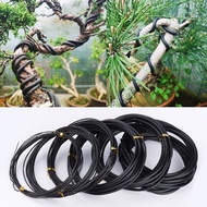 ruying Total 5m Gardening Tools Bonsai Training Wire Black Bonsai Wire Anodized Aluminum For Plant Shapes 6 Sizes