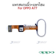 OPPO A77 / R9s pro / R9S Plus อะไหล่สายแพรปุ่มโฮม OPPO A77 / R9s pro / R9S Plusคุณภาพดี อะไหล่มือถือ