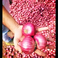 #Bawang merah#Bawang besar