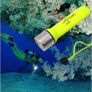 DIVING FLASHLIGHT/DIVING Flashlight/Waterproof Flashlight/Waterproof LED Flashlight/Murw Flashlight