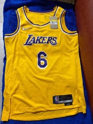 Nike LeBron James Lakers 6號球衣
